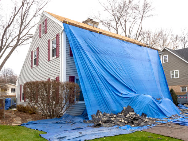 Best Stone Veneer Siding  in Cornelia, GA